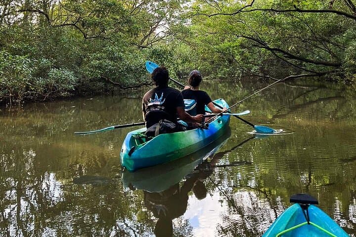Sunrise Kayak Through Guanacaste Mangroves to a Secluded Black‑Sand Beach photo 2