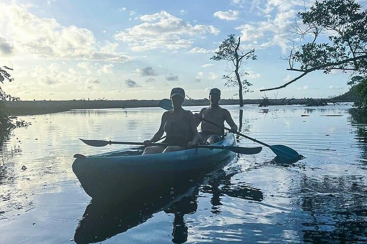 Sunrise Kayak Through Guanacaste Mangroves to a Secluded Black‑Sand Beach photo 3