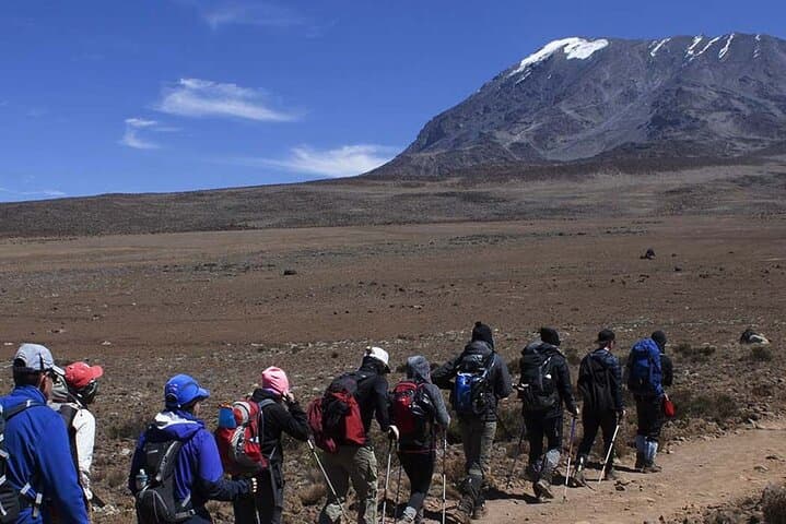 Kilimanjaro in 5 Days — Marangu Route Practical Guide to Uhuru Peak photo 3