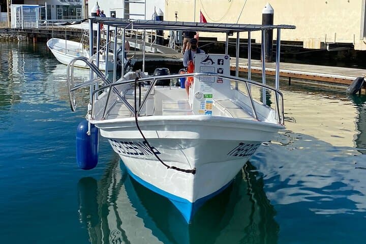 Cabo San Lucas Hydrophone Whale Watching — Hear and See Whales Off Land's End photo 4