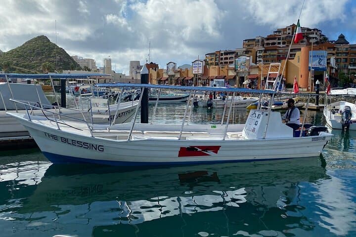 Cabo San Lucas Hydrophone Whale Watching — Hear and See Whales Off Land's End photo 6