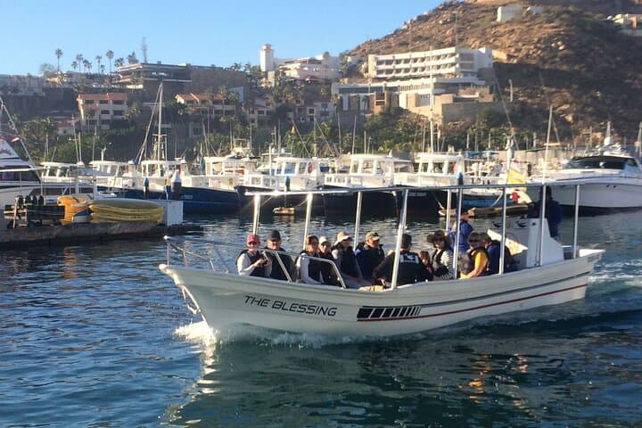 Cabo San Lucas Hydrophone Whale Watching — Hear and See Whales Off Land's End photo 2