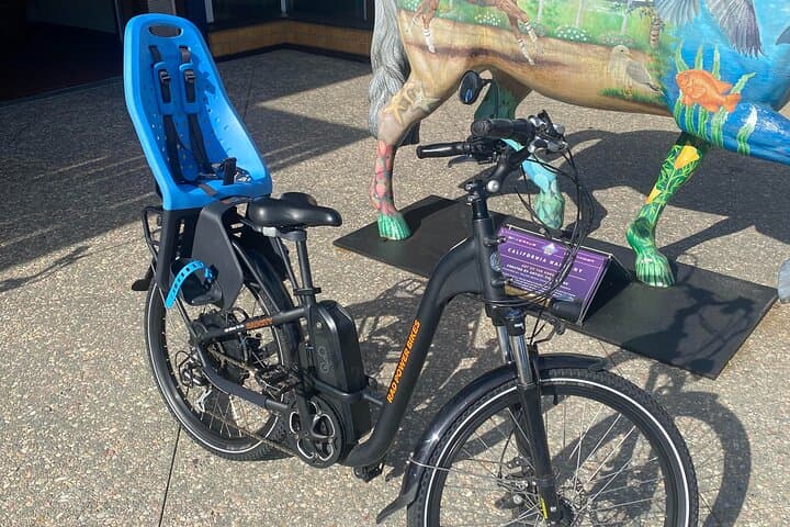 Coastal Electric Bike Rental in Solana Beach — 1-Day Ride from Del Mar to Carlsbad photo 6