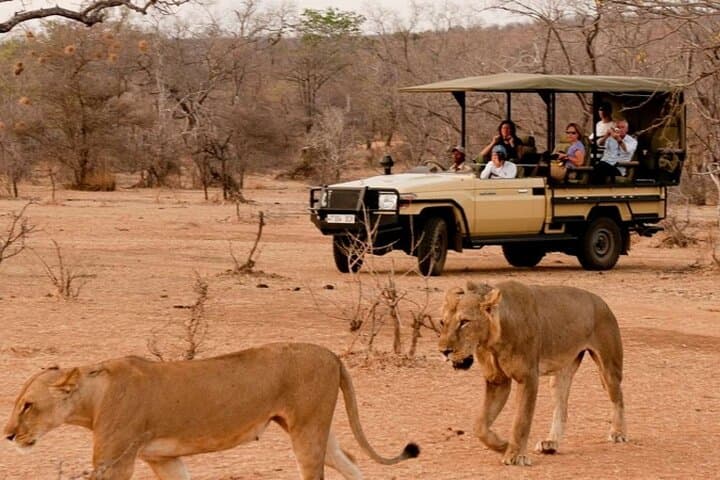 3-Day Kruger Safari from Johannesburg — Open 4x4 Game Drives & Big Five Encounters photo 1