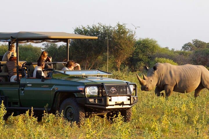 Full-Day Hluhluwe–Imfolozi Safari from Durban: Big Five & Rhino Conservation
