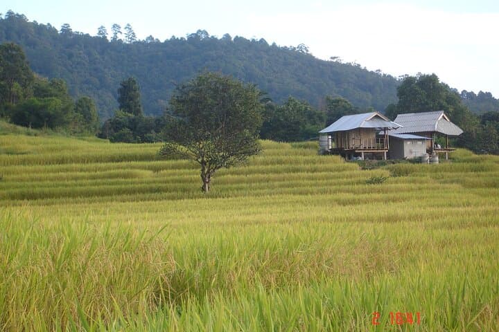 Doi Inthanon National Park: Private Hike to Wachirathan Falls & Ang Ka Trail photo 4