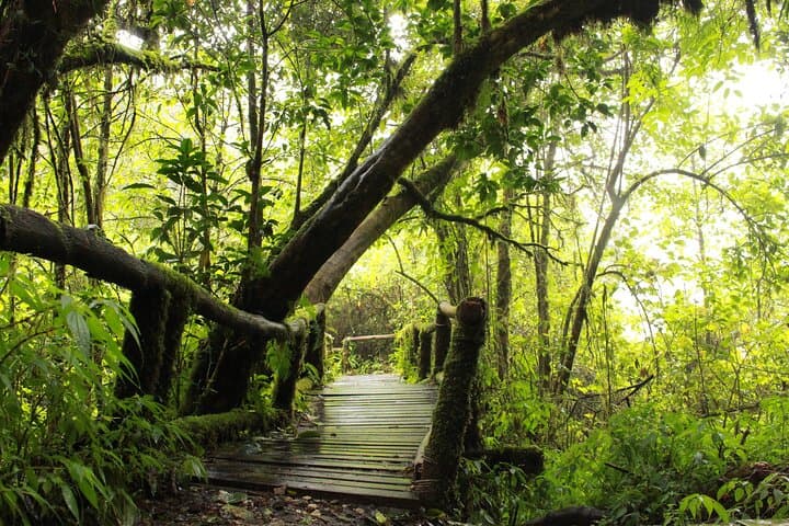 Doi Inthanon National Park: Private Hike to Wachirathan Falls & Ang Ka Trail photo 5