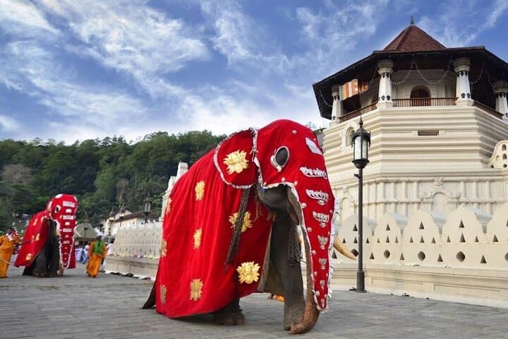 Sigiriya to Kandy Private Transfer with Dambulla Cave & Spice Garden Stops
