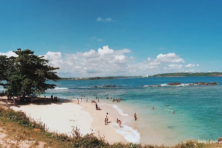 Galle Day Trip & Madu River Mangrove Safari from Colombo photo 3