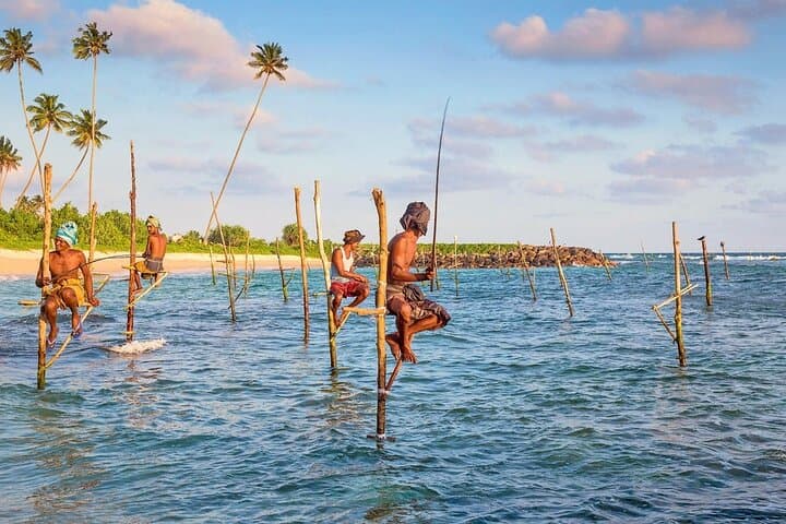 Galle Day Trip & Madu River Mangrove Safari from Colombo