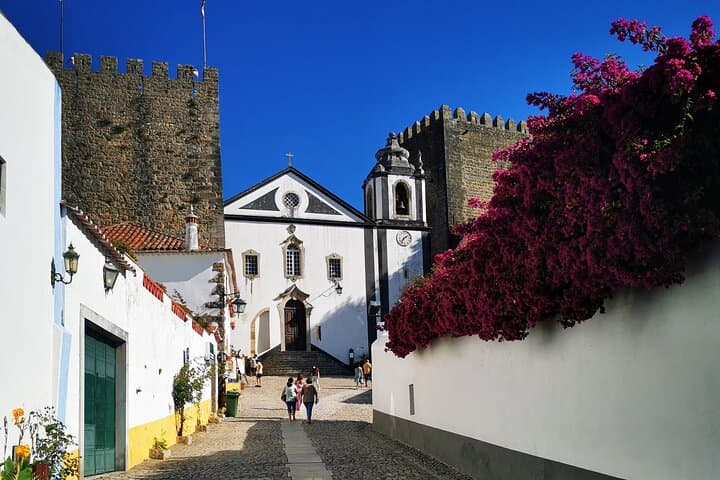 Lisbon to Douro Valley Day Trip with Stops in Óbidos, Nazaré & Aveiro photo 3