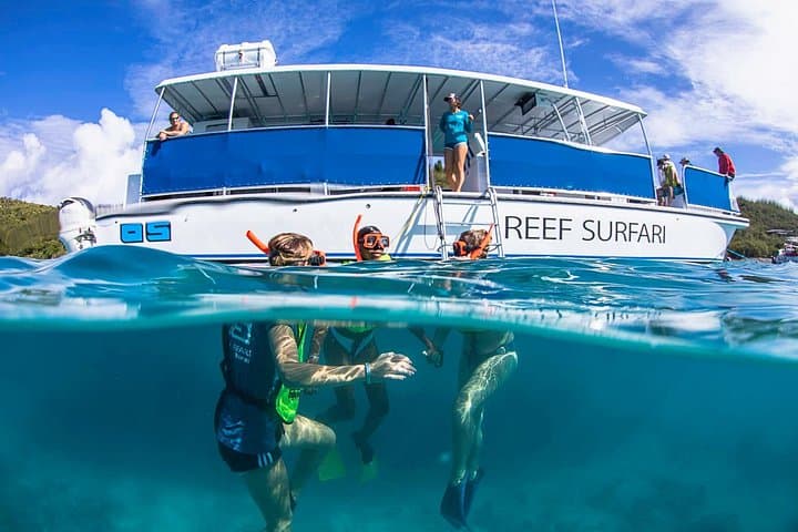 St. James Snorkel & Pizza Pi Lunch: Morning Reef Swim and Pizza Pi Delivery photo 2