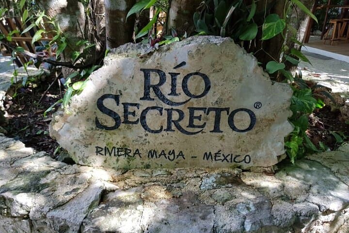 Explore the Secret River of the Riviera Maya: Guided Cavern Swim from Playa del Carmen photo 2