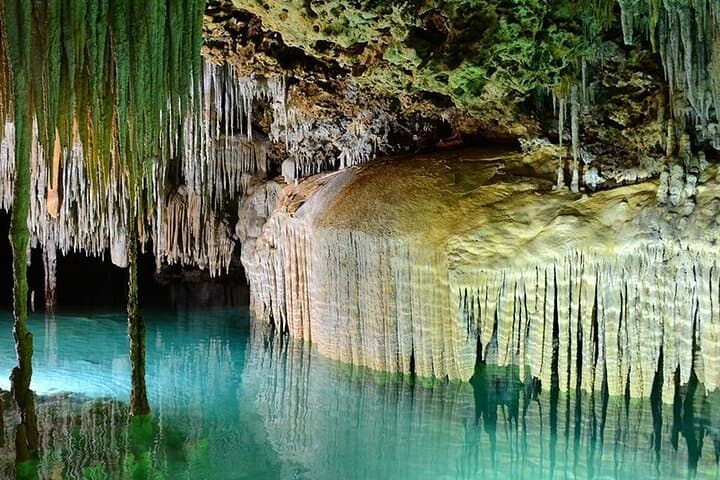 Explore the Secret River of the Riviera Maya: Guided Cavern Swim from Playa del Carmen photo 3