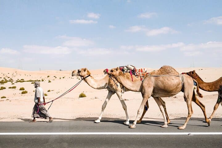 Abu Dhabi Hidden Gems Tour App: Self-Guided Treasure Hunt & Big UAE Quiz photo 3