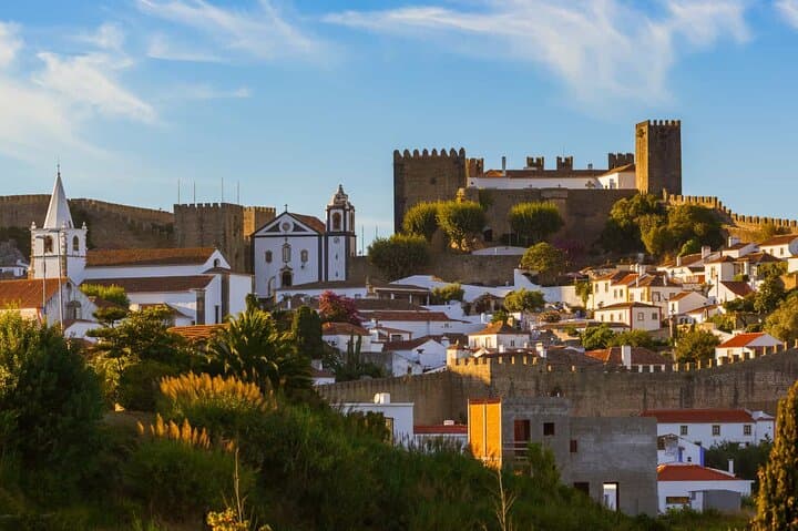 Lisbon to Douro Valley Day Trip with Stops in Óbidos, Nazaré & Aveiro