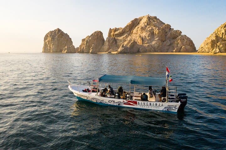 Cabo Marine Park: Two-Tank Dive to Pelican Rock & Neptune's Finger photo 5