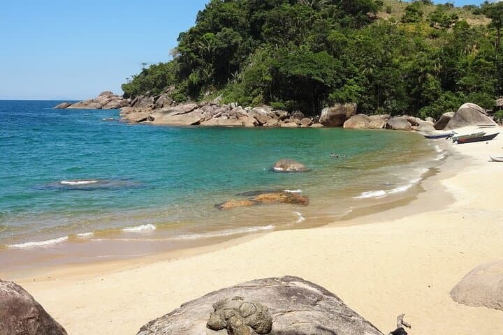 Ponta Negra Caiçara Trek & Saco Bravo Waterfall — Day Trip from Paraty photo 4