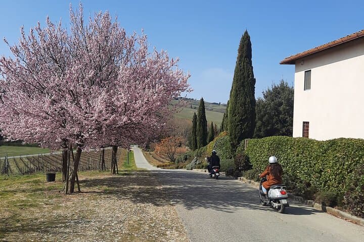 Zip Through Chianti: Private Tuscany Vespa Tour from Florence photo 6