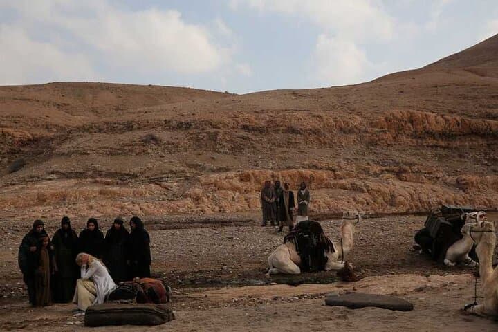 Wadi El Gamal Safari from Marsa Alam: Day Trip into Egypt's Valley of the Camels photo 5
