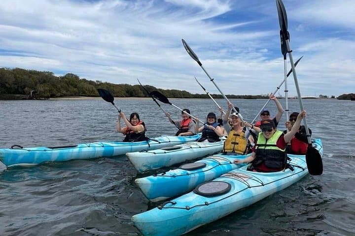 Dolphin Sanctuary Kayak Tour — Kayak Through Port Adelaide’s Mangroves photo 4
