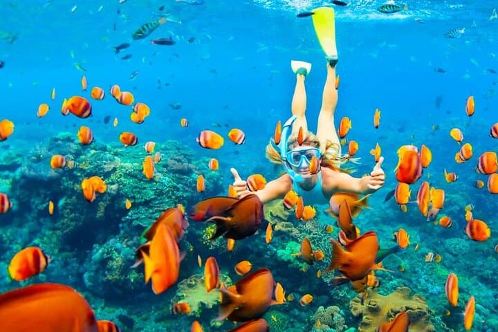 Red Sea Semi-Submarine Tour from Hurghada — Giftun Coral Views Without Getting Wet