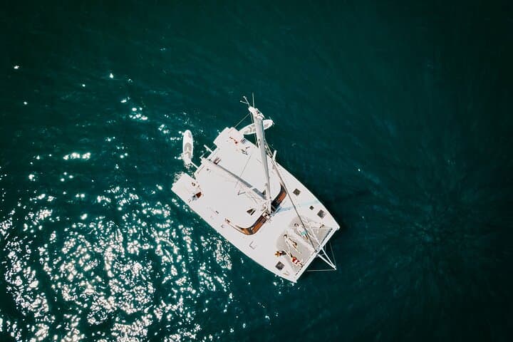 Private Catamaran Cabo: Whale Watching, Snorkel & Sunset Cruises