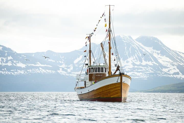 tromso-fjord-and-history-cruise-on-hermes-ii