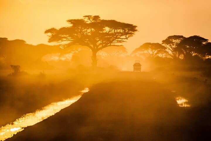 4-Day Private Camping Safari to Tarangire, Serengeti & Ngorongoro Crater photo 3