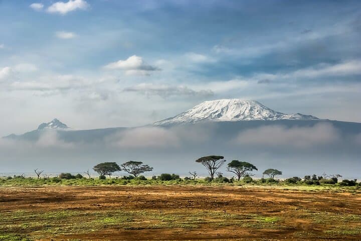 7-Day Kilimanjaro Trek via Machame Route — Summit Uhuru Peak