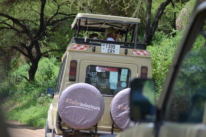 4-Day Serengeti and Ngorongoro Mid-Range Safari: Game Drives, Maasai Culture & Crater Descent photo 3