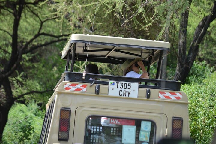 4-Day Serengeti and Ngorongoro Mid-Range Safari: Game Drives, Maasai Culture & Crater Descent photo 4