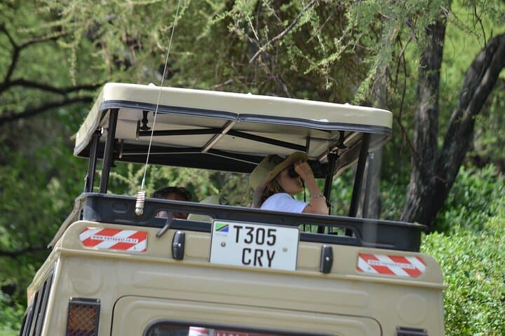 4-Day Serengeti and Ngorongoro Mid-Range Safari: Game Drives, Maasai Culture & Crater Descent photo 5