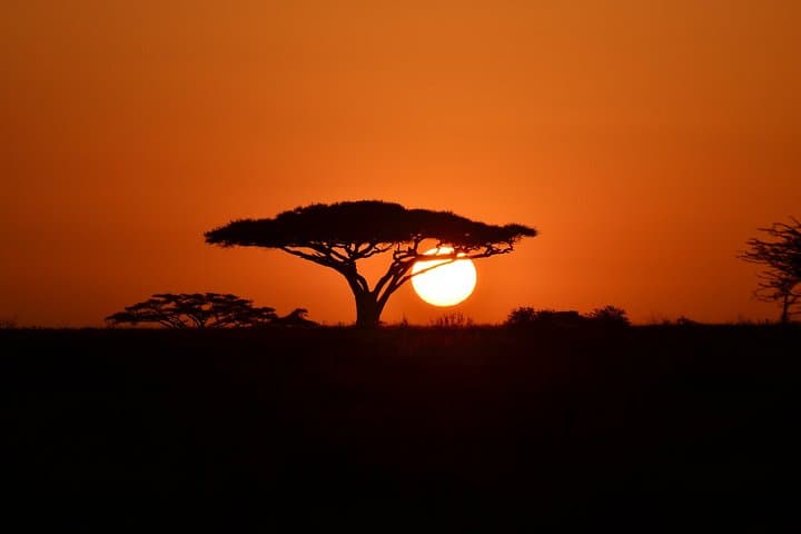 4-Day Budget Camping Safari: Serengeti, Ngorongoro & Tarangire photo 4