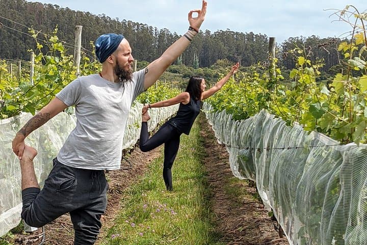 Vineyard Yoga & Brunch at Viña Edén — Morning Mindfulness Near Punta del Este photo 1