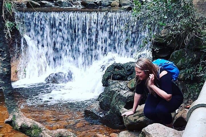 Skeleton Gorge Hike: From Kirstenbosch Ravine to Maclear's Beacon on Table Mountain photo 4