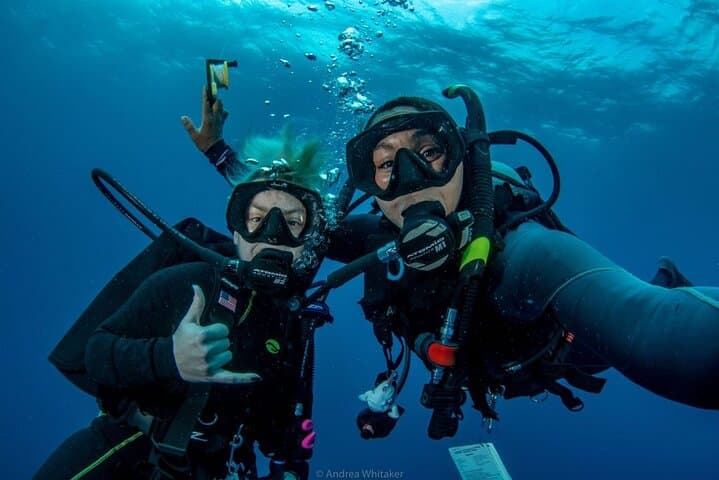 VIP Private 2-Tank Scuba Dive in Fajardo Reefs with PADI PADI Instructor photo 4