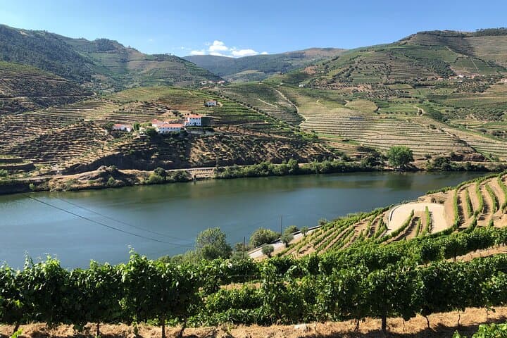 Douro Valley Private Wine Tour: Port & Douro DOC Tastings, Boat Ride & Lunch photo 3
