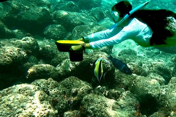 Kauai Sea Scooter Snorkeling — Glide with Green Sea Turtles and Reef Triggerfish photo 5