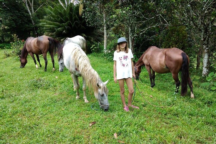 Horseback Riding in Panama's Farming Region — Cerro Azul & El Valle Day Ride photo 4