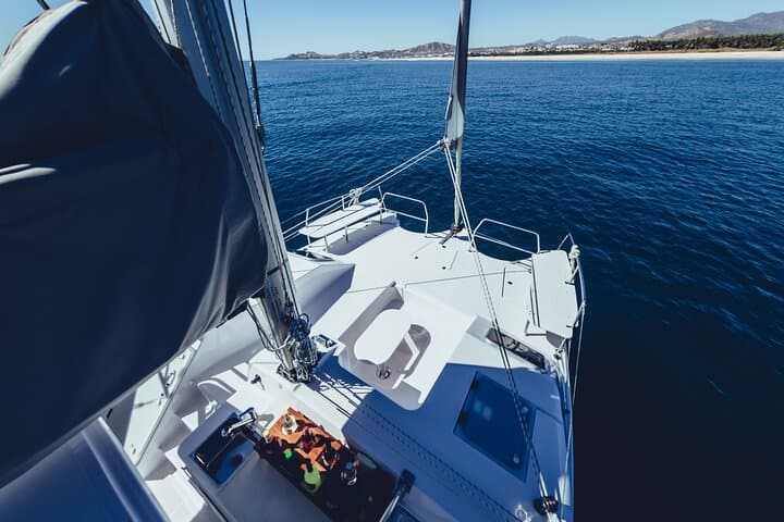 Luxury Whale-Watching Sail to El Arco (Cabo San Lucas) photo 4