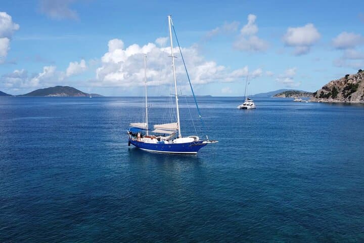 Anne Bonny Daysail: BVI Snorkel, Turtles & Willy T Floating Bar