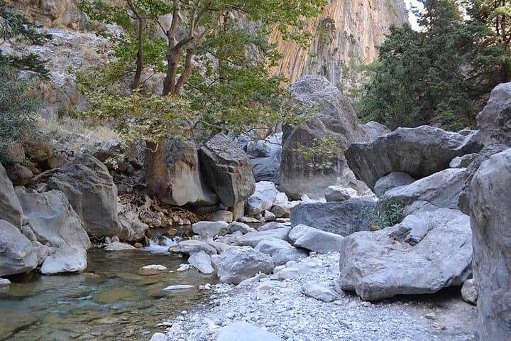 Samaria Gorge — Long Route from Chania: Full-Day Trek Through Crete's White Mountains photo 5