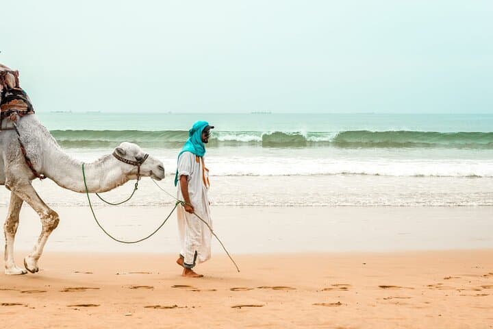 Sunset Camel Ride on Agadir Beach — Coastal Camel Trek with BBQ