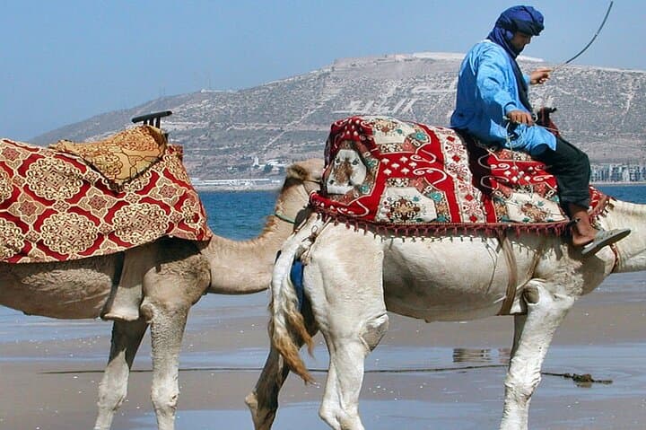 Sunset Camel Ride on Agadir Beach — Coastal Camel Trek with BBQ photo 2