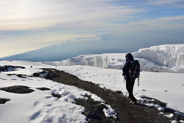 Lemosho Route Kilimanjaro: 8-Day Scenic Ascent from Moshi photo 3