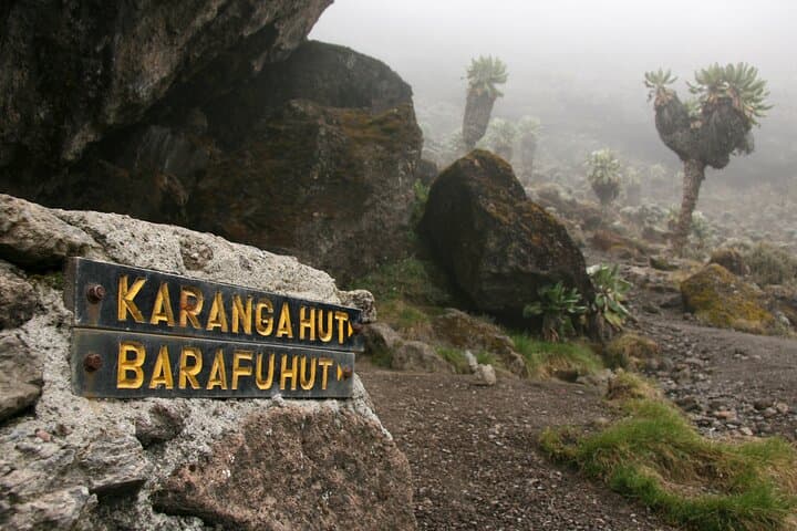 Lemosho Route Kilimanjaro: 8-Day Scenic Ascent from Moshi photo 5
