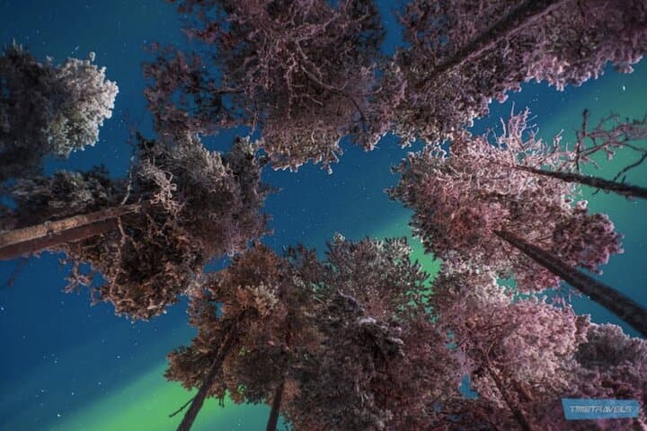 Chasing the Northern Lights: 3-Hour Aurora Photography Tour from Saariselkä photo 6