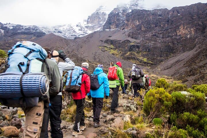 7-Day Machame Route: Scenic Moderate-Ascent Mount Kilimanjaro Trek photo 4