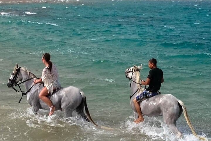 Hurghada Horseback Riding in Makadi Bay: Sunset Rides, Stargazing & Dinner photo 6